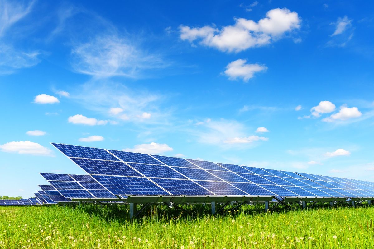 Ground-mounted solar park in a meadow